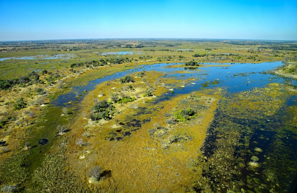 Okavango Delta