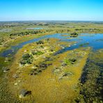 Okavango Delta