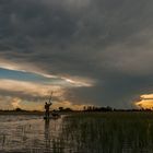 Okavango Delta