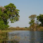 Okavango Delta 2