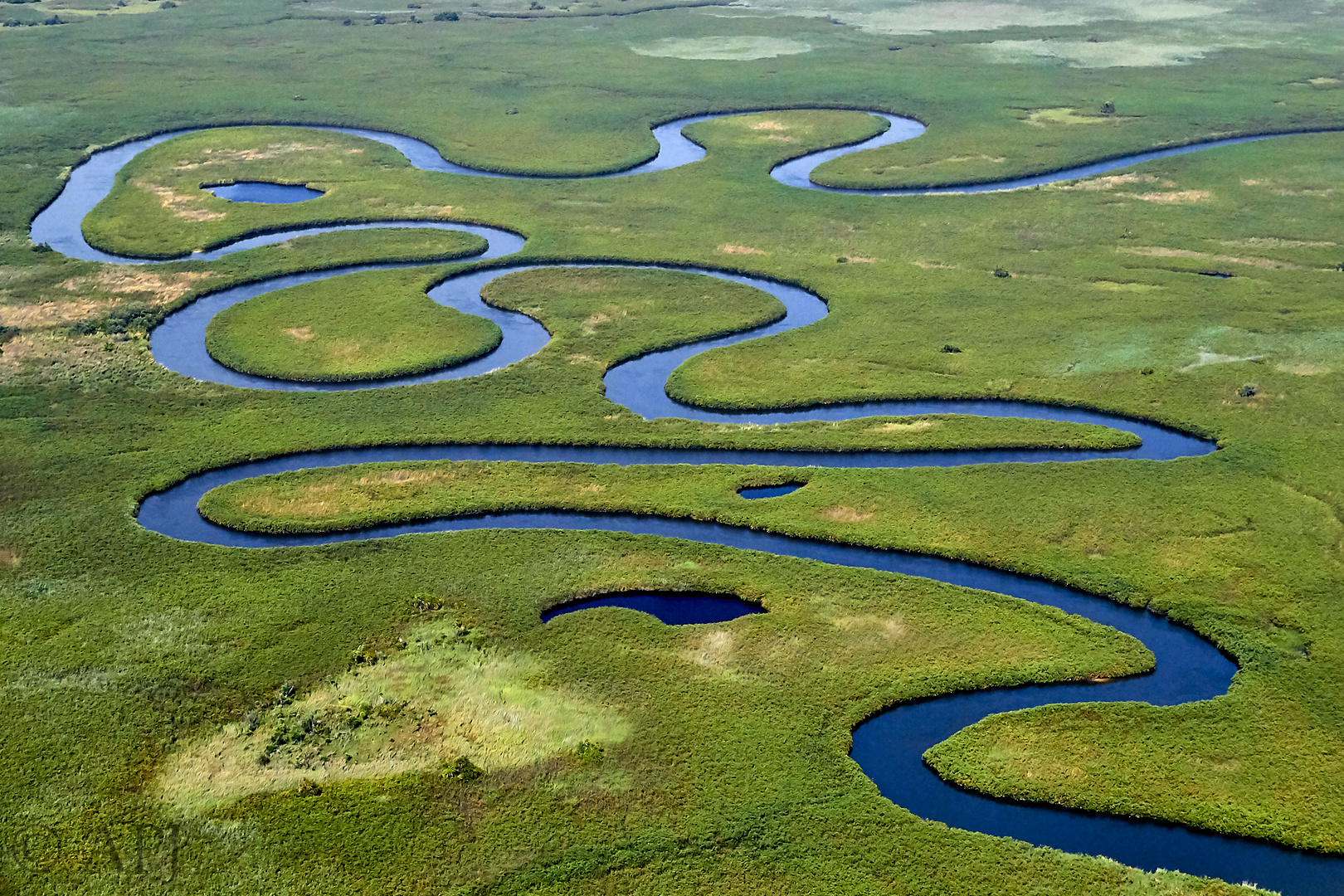 Okavango Delta