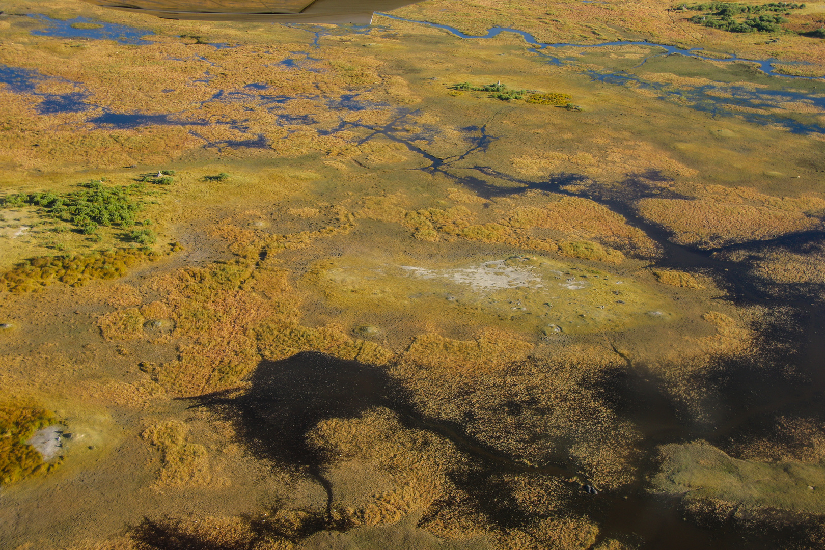 Okavango Delta