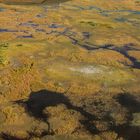 Okavango Delta