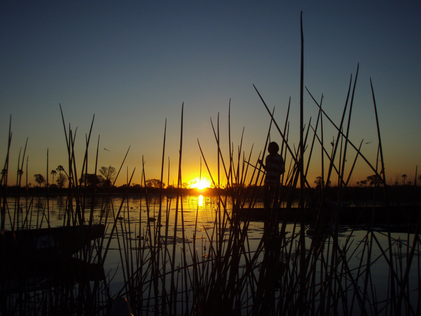 Okavango Delta