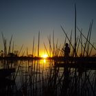 Okavango Delta