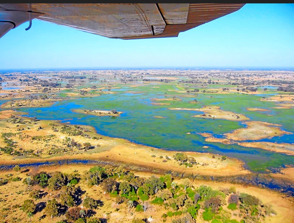 OKAVANGO DELTA