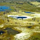 Okavango Delta