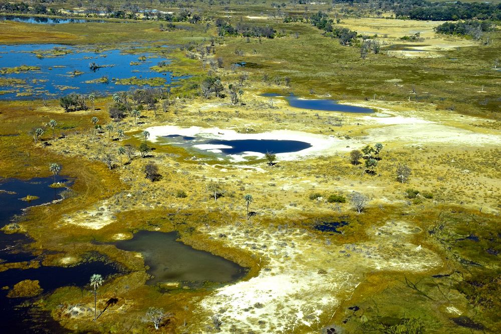 Okavango Delta