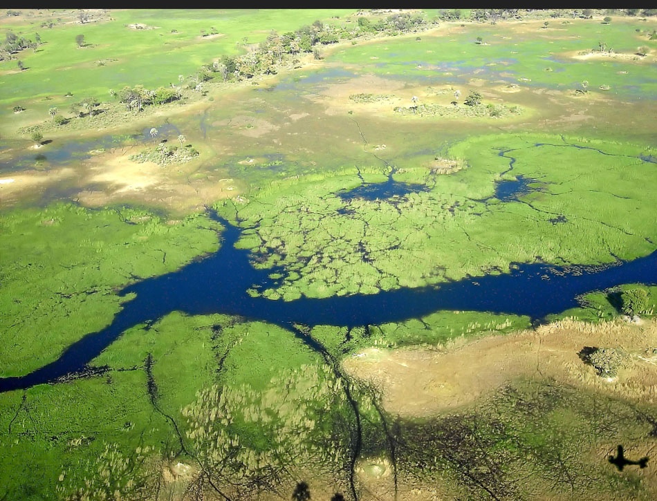 OKAVANGO DELTA