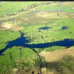 OKAVANGO DELTA