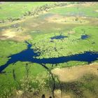 OKAVANGO DELTA