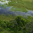 Okavango Delta