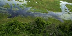 Okavango Delta