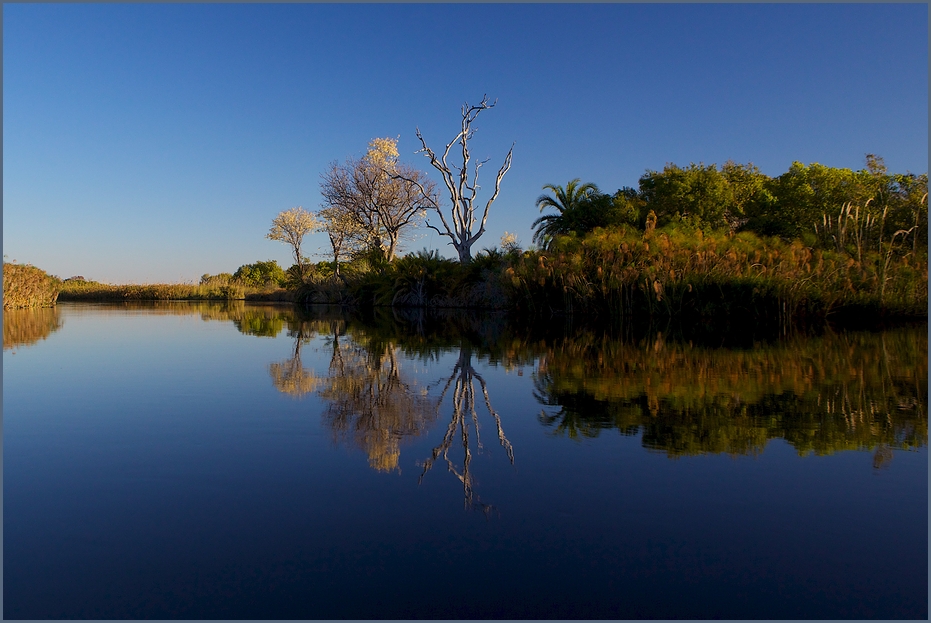 Okavango Delta