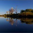 Okavango Delta