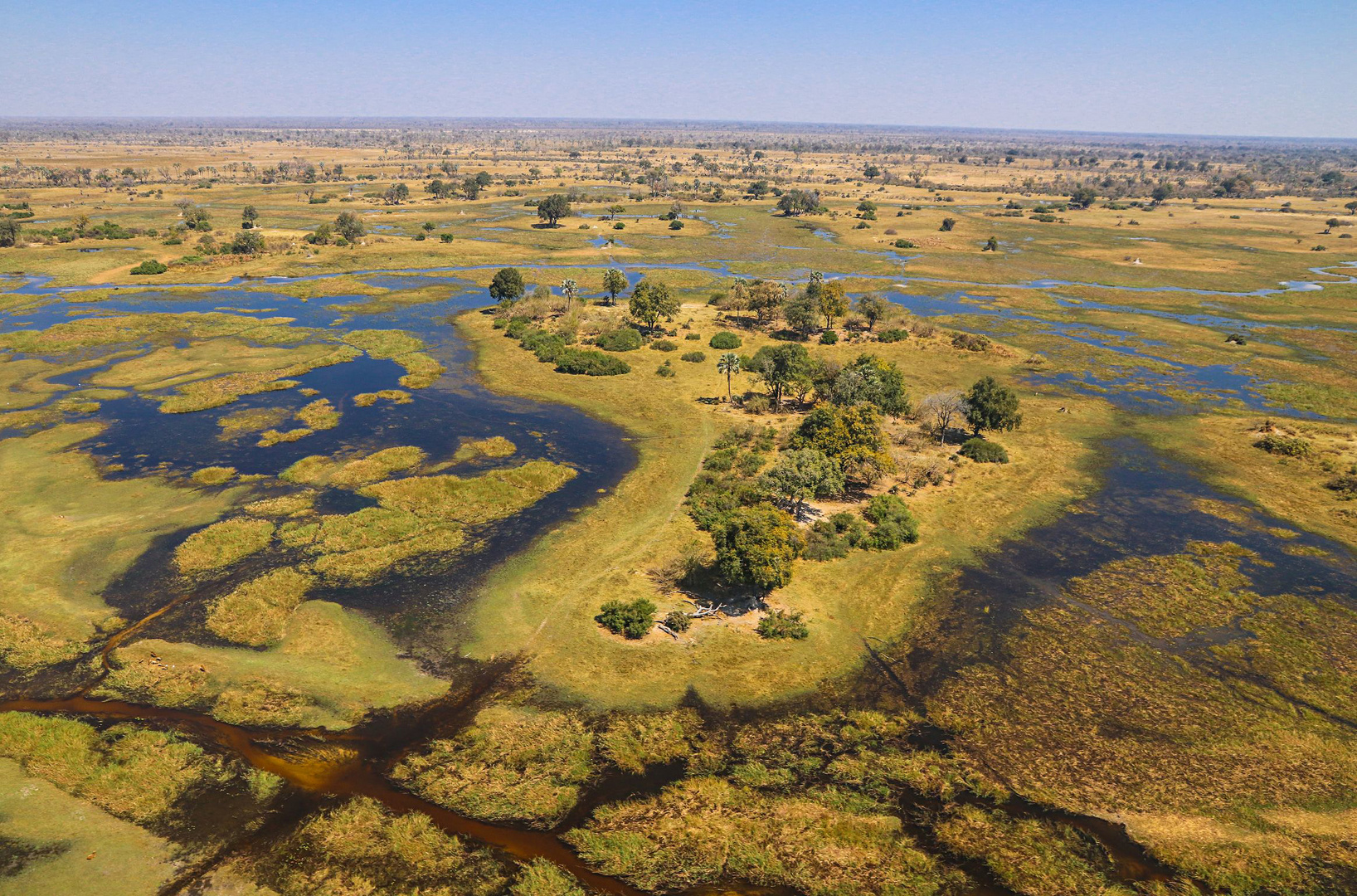 Okavango Delta