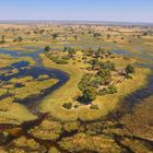 Okavango Delta