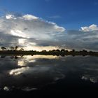 Okavango-Delta