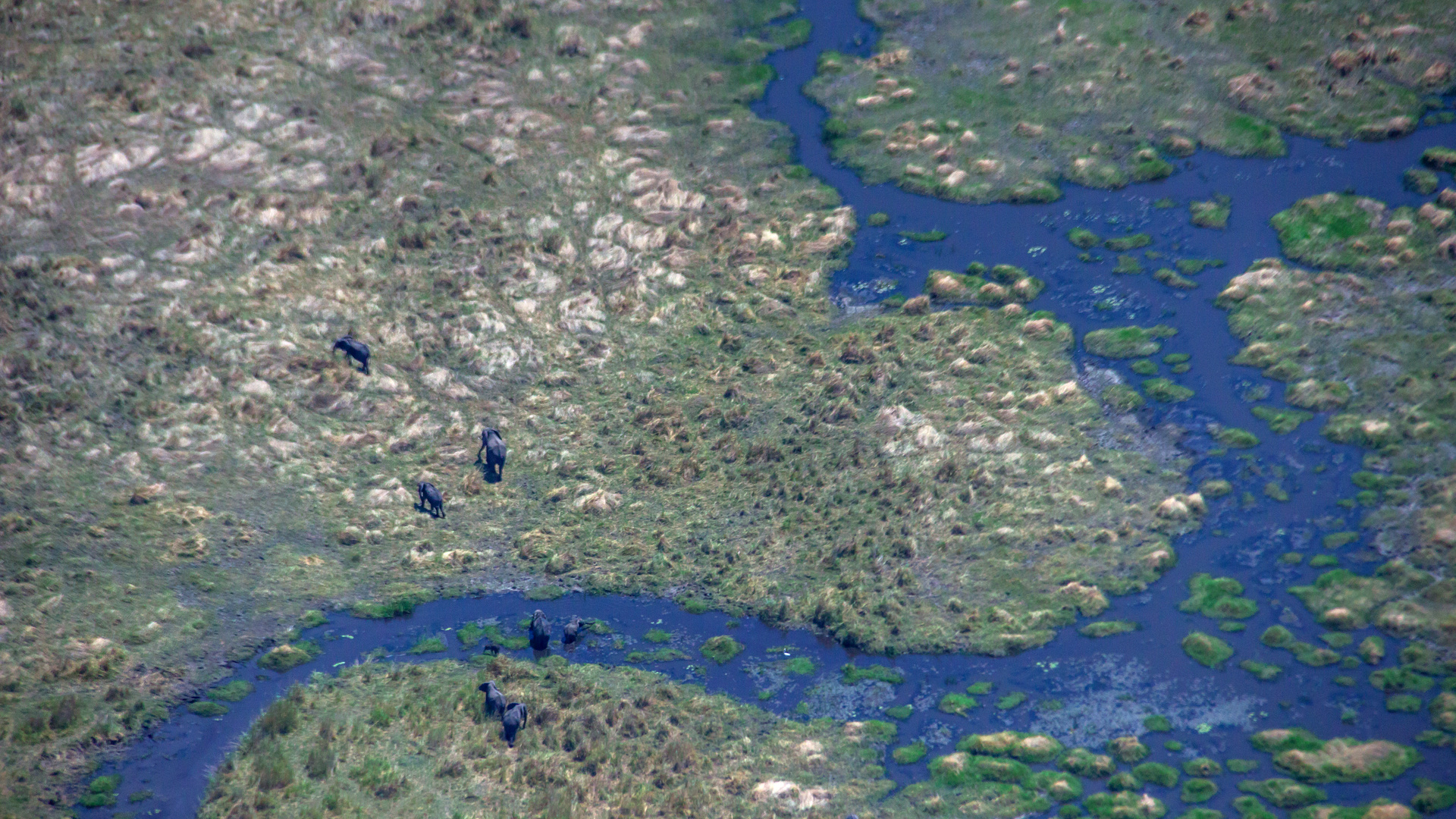 Okavango Delta