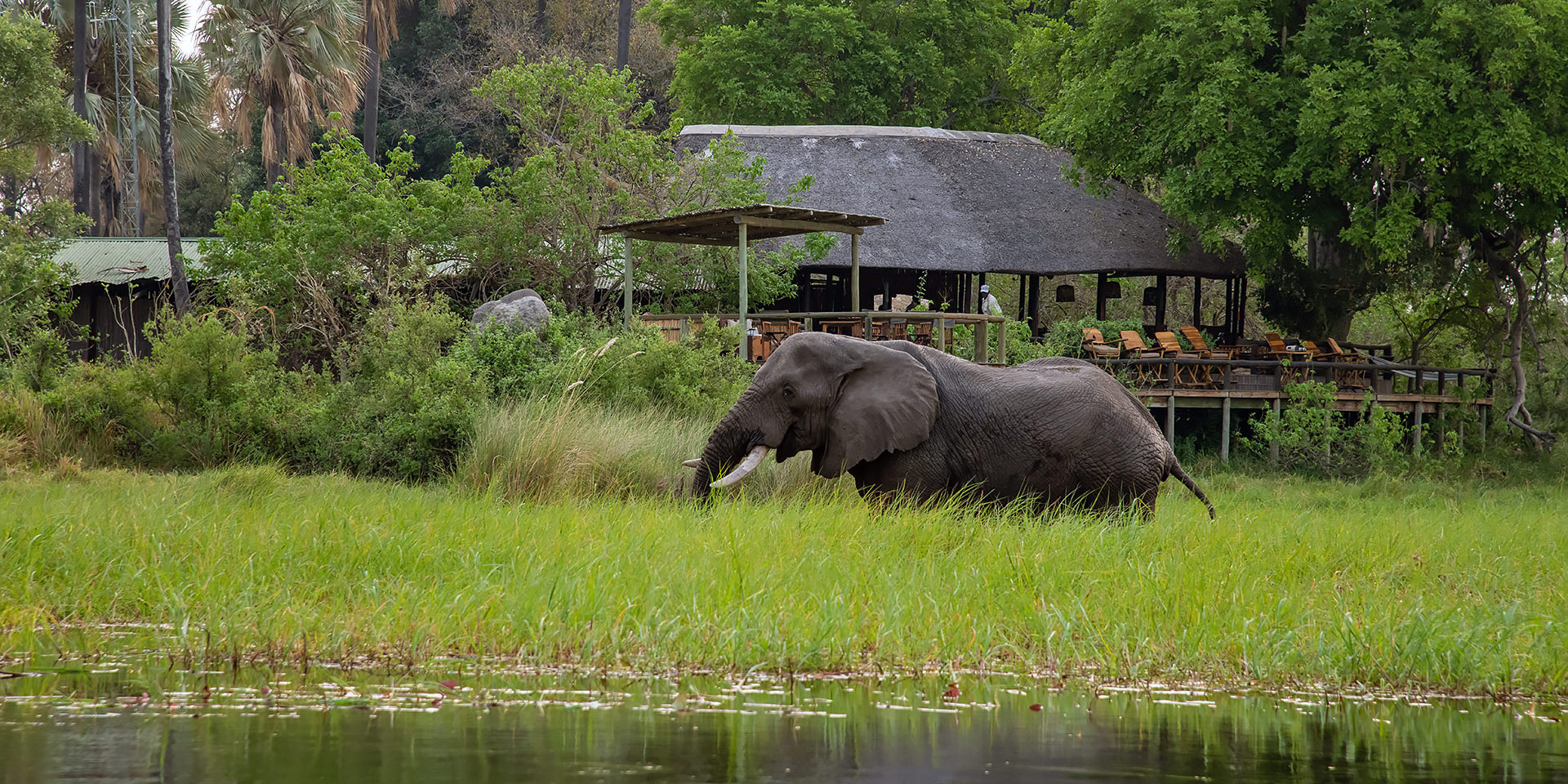 Okavango Delta