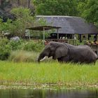 Okavango Delta