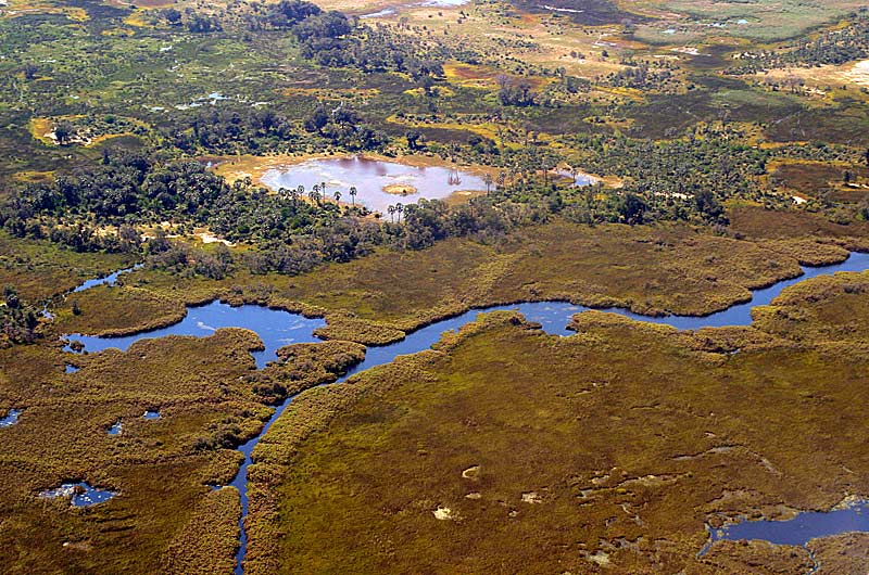 Okavango-Delta