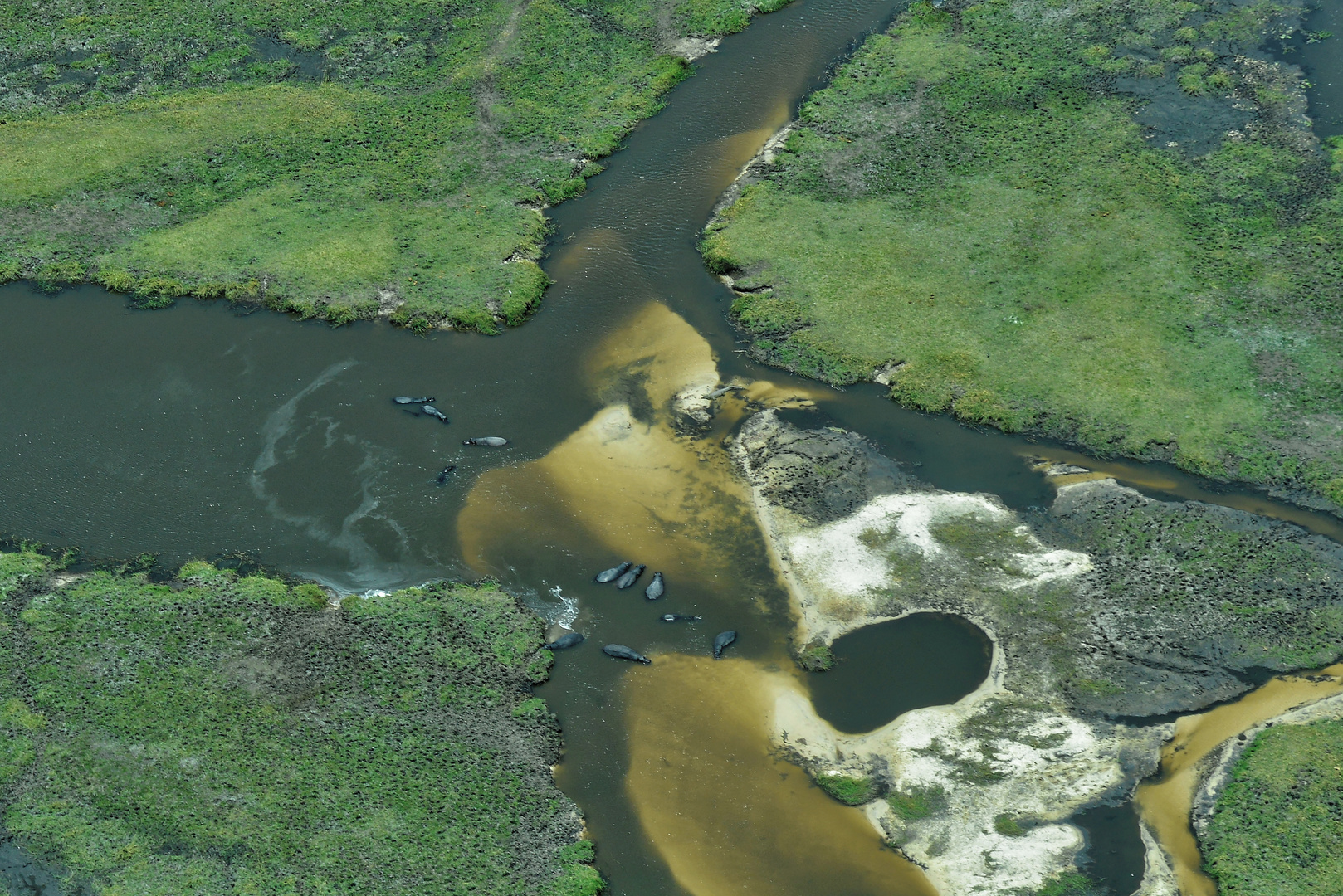 Okavango Delta