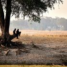 Okavango Delta - Botswana