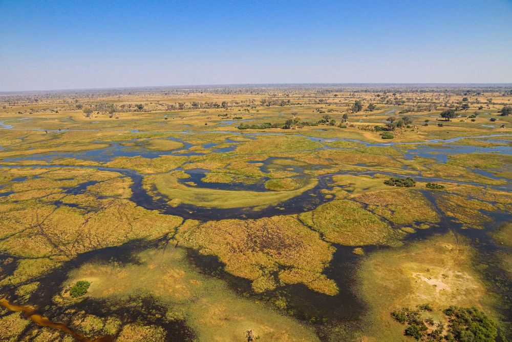 Okavango Delta, Botswana Foto & Bild africa, southern africa