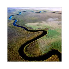 [ Okavango Delta ]