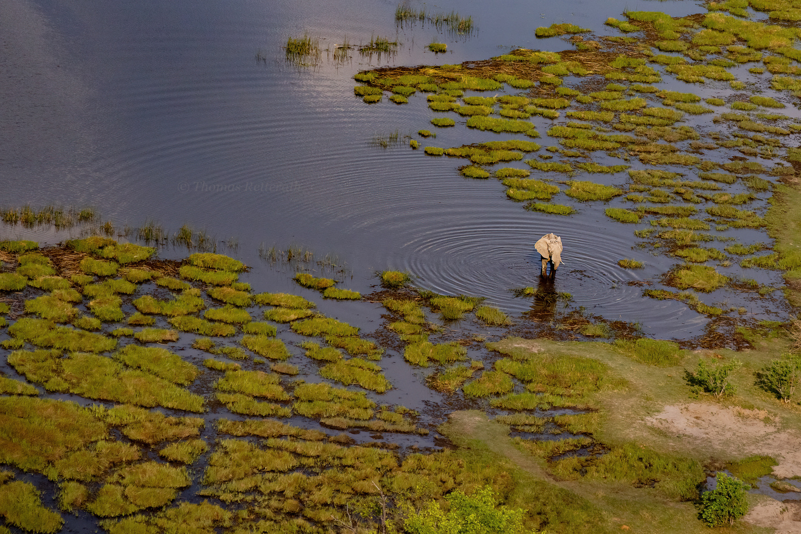 Okavango Delta