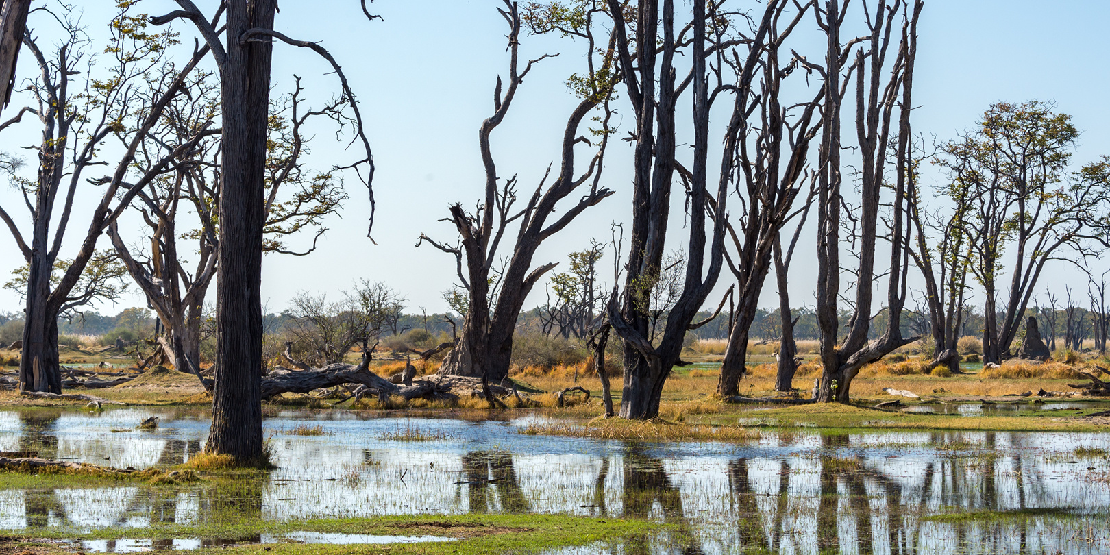 Okavango Delta