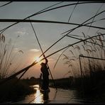 okavango delta - einfach geniessen...