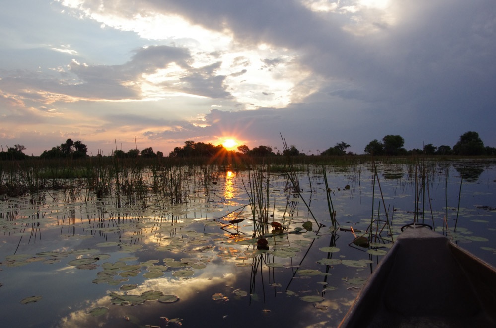 Okavango Delta