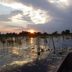 Okavango Delta