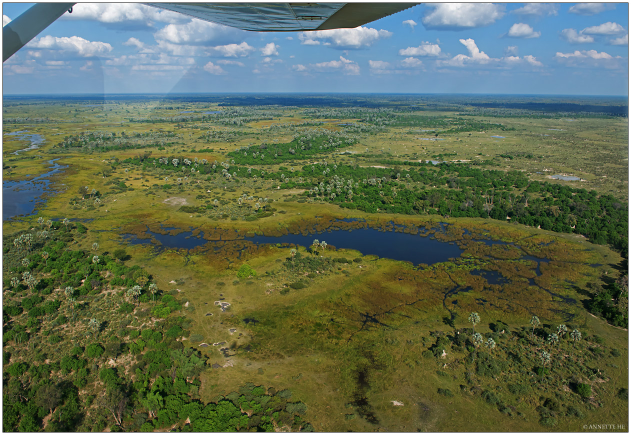 Okavango Delta from above