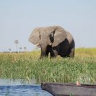 Okavango Delta in Botswana