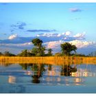 ---- Okavango-Delta Nr.2 ---- ( Botswana, südliches Afrika )