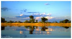 ---- Okavango-Delta Nr.2 ---- ( Botswana, südliches Afrika )