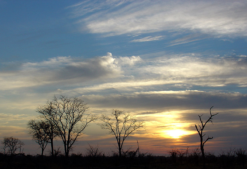 Okavango Delta Sunrise