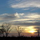 Okavango Delta Sunrise