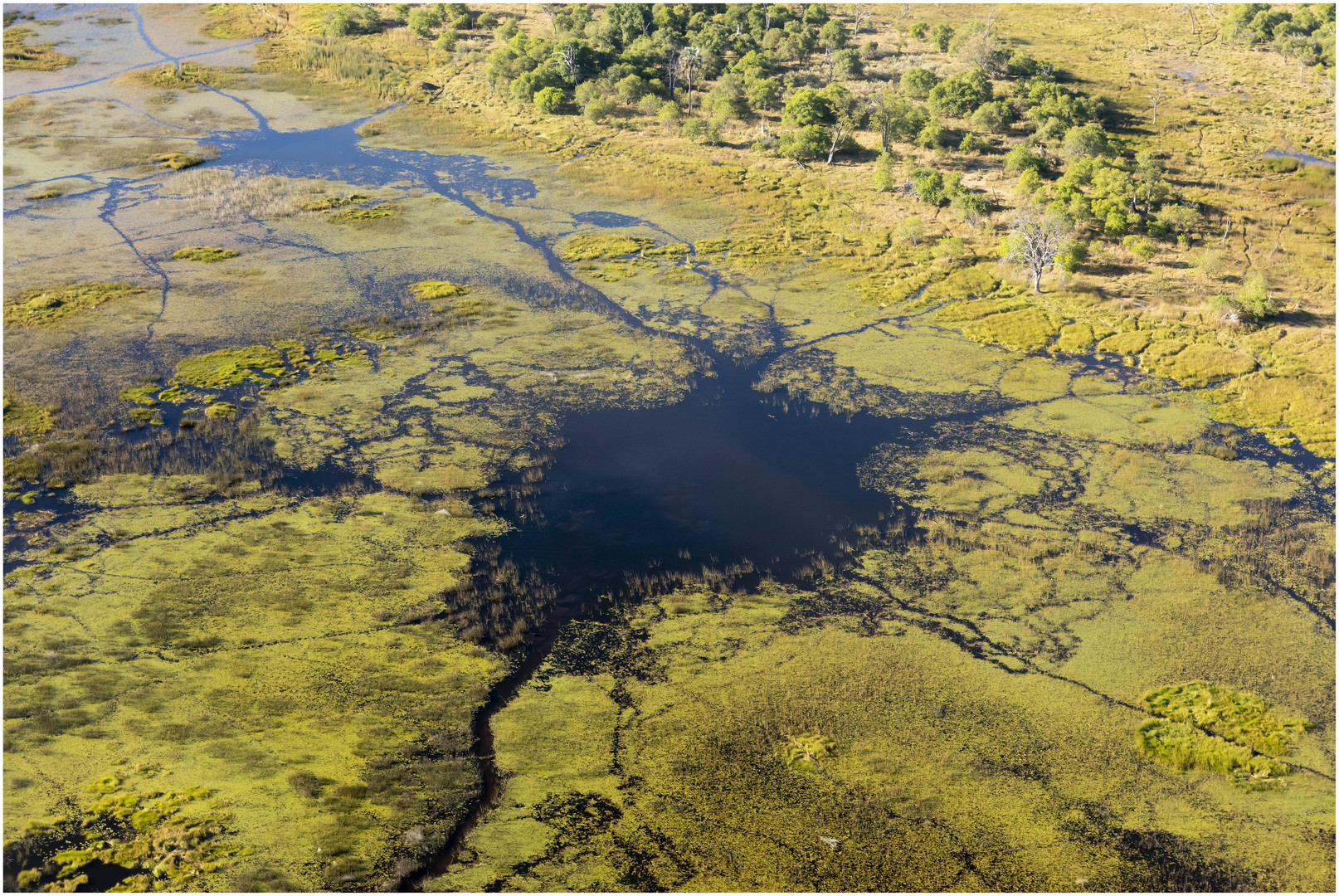 Okavango Delta von Oben