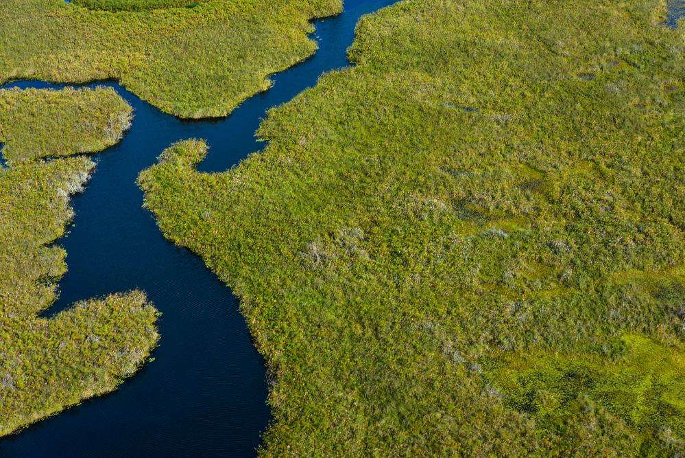 Okavango