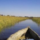 Okavango