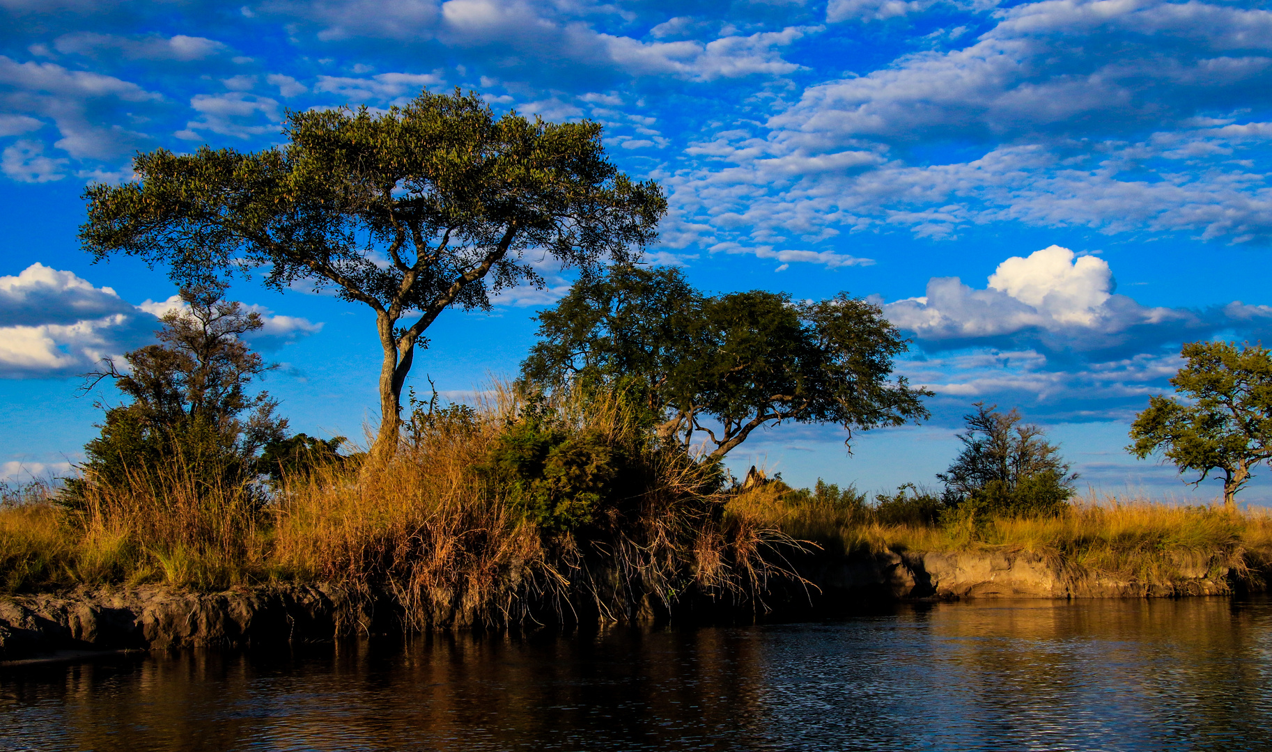 Okavango Flußufer
