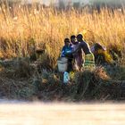 Okavango-leben am fluss