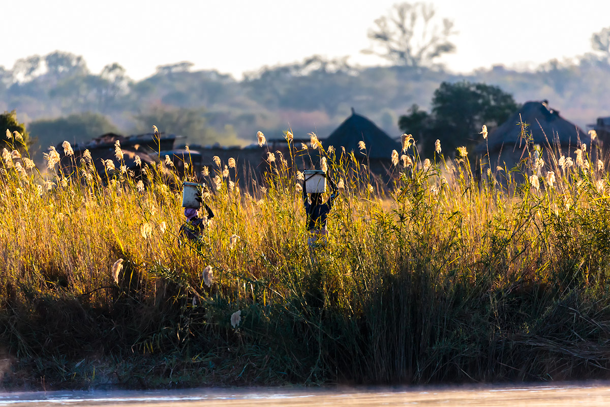 Okavango-leben am Fluss