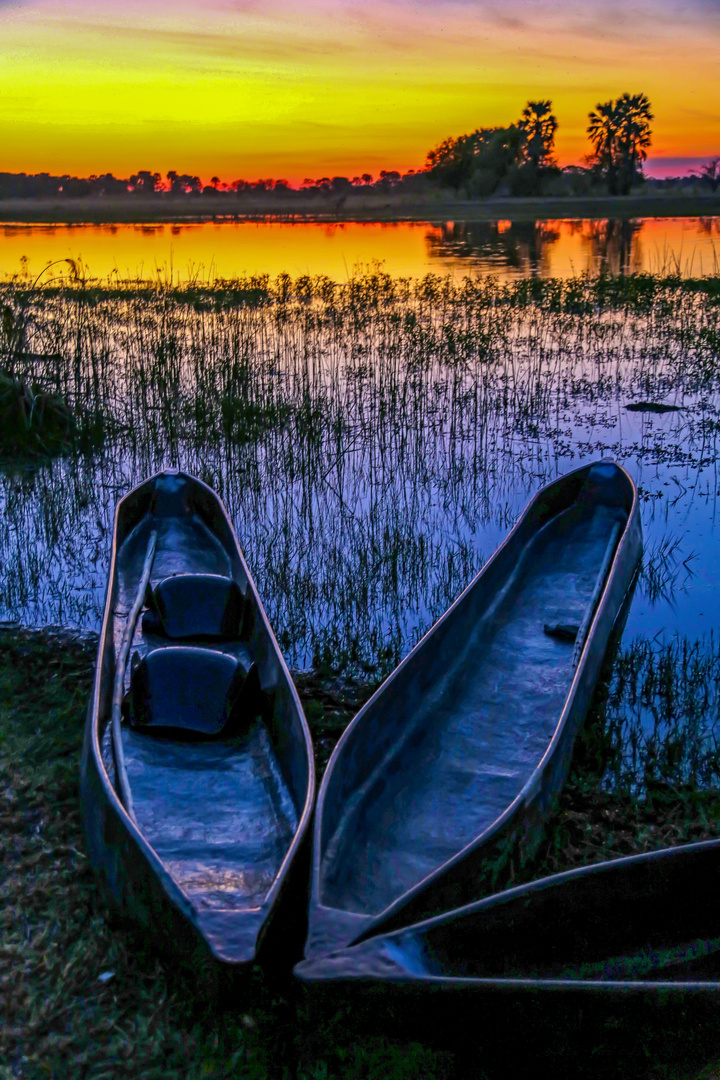 Okavango River