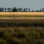 Okavango River