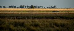 Okavango River